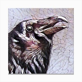 Raven Canvas Print