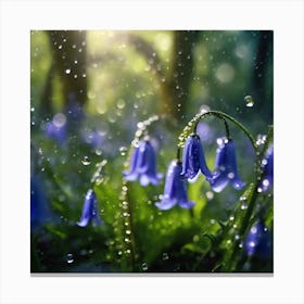 Water Droplets on Bluebell Flowers Canvas Print