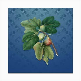 Vintage Common Fig Botanical on Bahama Blue Pattern n.2506 Canvas Print