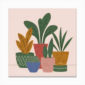 Potted Plants 7 Canvas Print