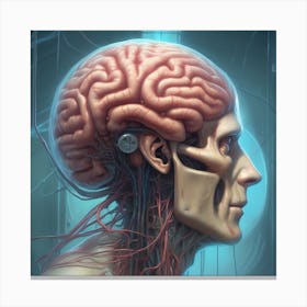 Human Brain 35 Canvas Print