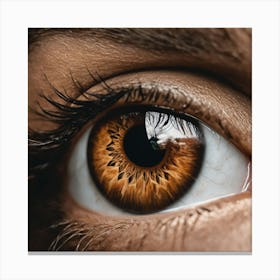 Close Up Of A Brown Eye 1 Canvas Print