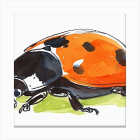 Ladybug 3 Canvas Print