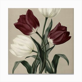 Three Tulips Canvas Print