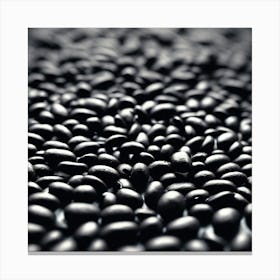 Black Beans 12 Canvas Print