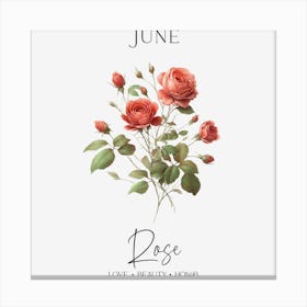 Rose June Birthday Canvas Print