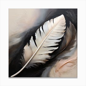 Feathers Canvas Print