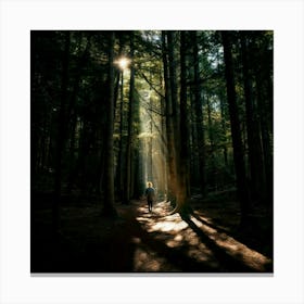 Person Walking In The Forest Canvas Print