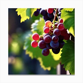 Grapes On The Vine 8 Canvas Print