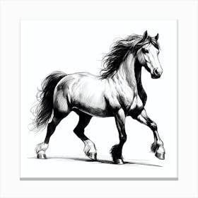 Horse Drawing Canvas Print