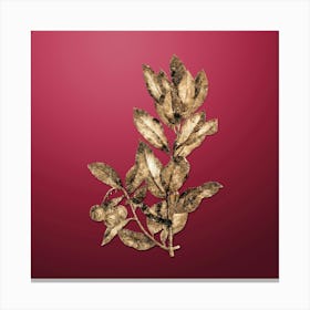 Gold Botanical Strawberry Tree Branch on Viva Magenta n.1249 Canvas Print