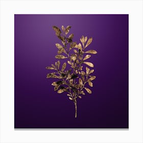 Gold Botanical Bog Myrtle on Royal Purple n.0683 Canvas Print