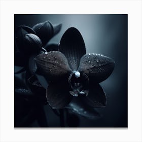 Dark Orchids Canvas Print