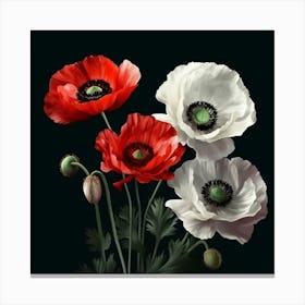 Red and White Poppies Against Black Background Leinwandbild