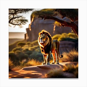 Lion In The Desert 2 Canvas Print