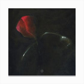 Poppies - painting figurative classical square dark red floral flower poppy Canvas Print