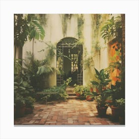 Courtyard With Potted Plants Canvas Print