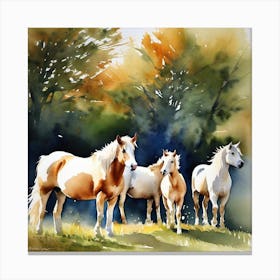 Horses In The Field Canvas Print