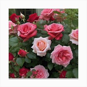 Roses Canvas Print