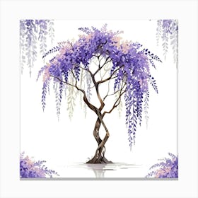 Wisteria tree 2 Canvas Print