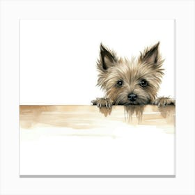 Yorkshire Terrier 12 Canvas Print