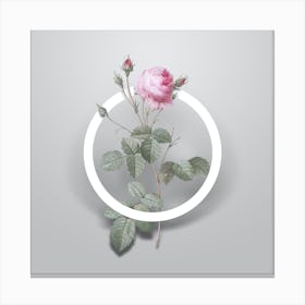 Vintage Provence Rose Minimalist Floral Geometric Circle on Soft Gray n.0534 Canvas Print