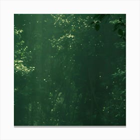 Girl In The Forest 1 Canvas Print