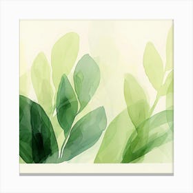 Watercolor Of Green Leaves 1 Canvas Print