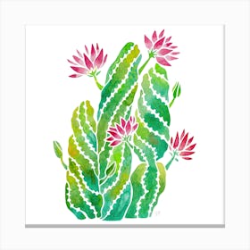 Twisted Cactus Square Canvas Print