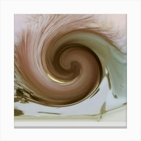 Spiral Swirl Canvas Print