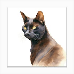 Bombay Chocolate Cat Portrait 1 Canvas Print