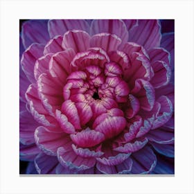 Dahlia 1 Canvas Print