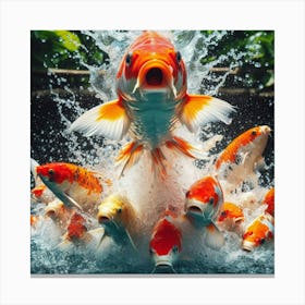 Koi Fish Jumping 2 Canvas Print