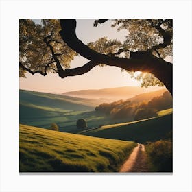 Sunrise Over A Field Canvas Print