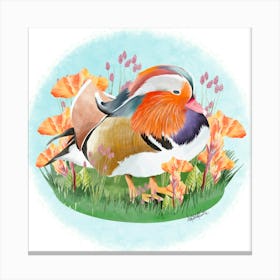 Mandarin Duck/Canard mandarin Canvas Print