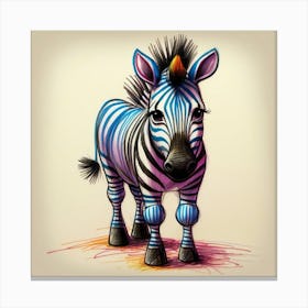 Zebra 13 Canvas Print