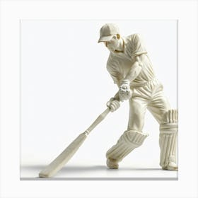 Cricket Player In Action 4 Canvas Print