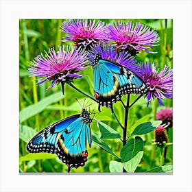 Butterfly On Thistle 1 Canvas Print