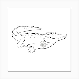 Alligator Canvas Print