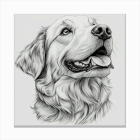 Golden Retriever 1 Canvas Print