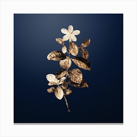 Gold Botanical Gardenia on Midnight Navy Canvas Print