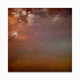 Photograph - Sky With A Tree Canvas Print