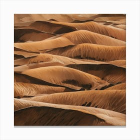 Namibia Sand Dunes Canvas Print