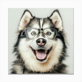 Husky Dog With Glasses 3 Canvas Print