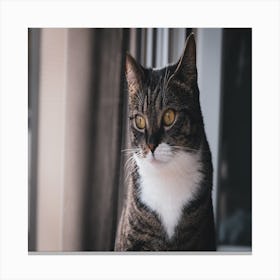 Cat Sitting On Window Sill Canvas Print