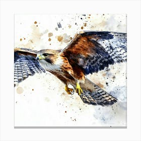 Hawk In Flight Watercolor Canvas Print