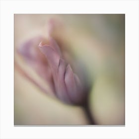 A Close Up Of A Delicate Wood Bud Just Beginning To Bloom, With Soft Petals And Hints Of Vibrant Col Canvas Print