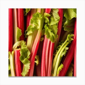 Rhubarb 40 Canvas Print