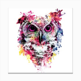 Owl Square Canvas Print