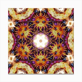 Psychedelic Mandala 95 Canvas Print